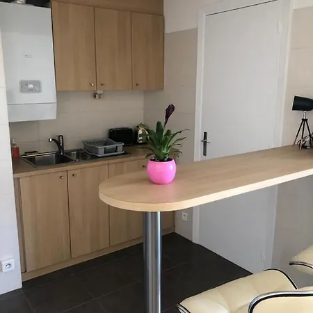 ++++ Renovated Cosy 50m2 Sunny Flat / Balcony / Close To And To The Palais Des Festivals ++++ Apartment Cannes