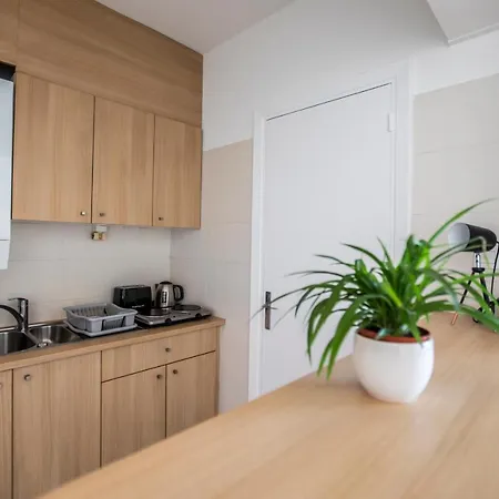 ++++ Renovated Cosy 50m2 Sunny Flat / Balcony / Close To And To The Palais Des Festivals ++++ Apartment *